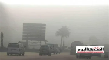 صغرى 12 درجة.. تقلبات جوية تضرب القاهرة مع نشاط للرياح والأتربة المثارة